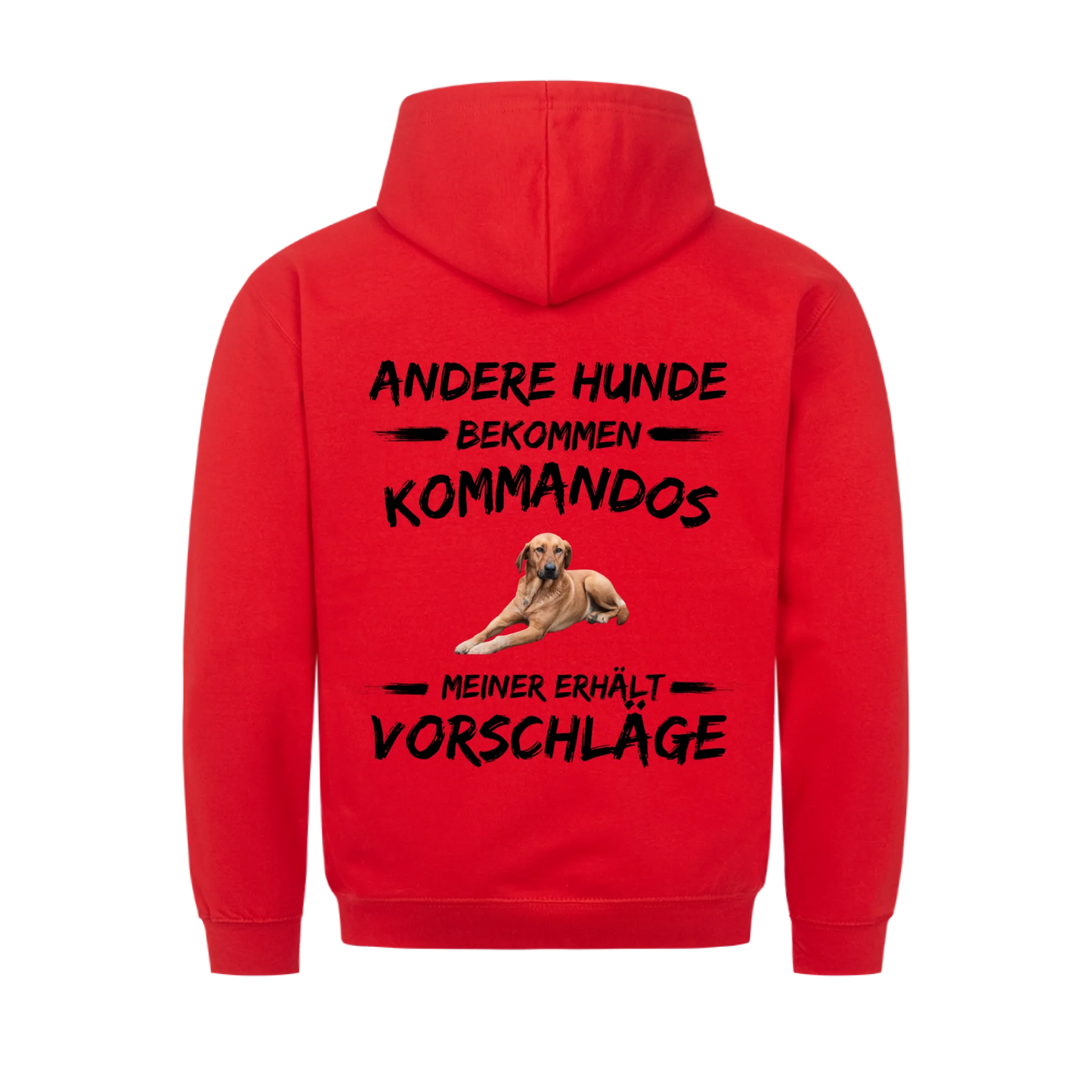 5e32f4ef92e32b08f71bbfbd_back_ce1c34_610294201c6ca_v2