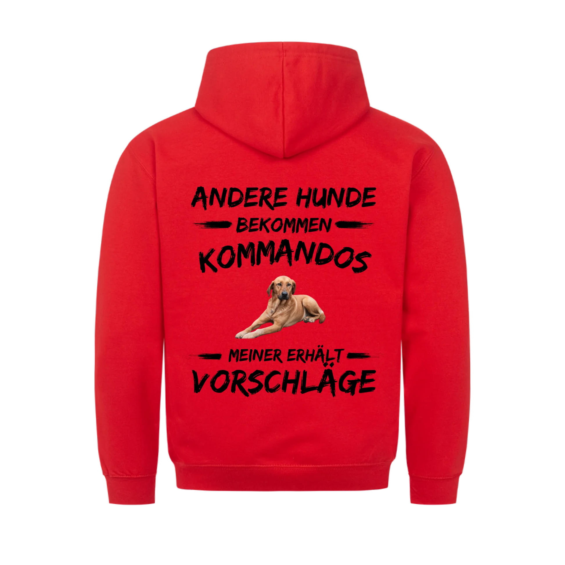 5e32f4ef92e32b08f71bbfbd_back_ce1c34_610294201c6ca_v2