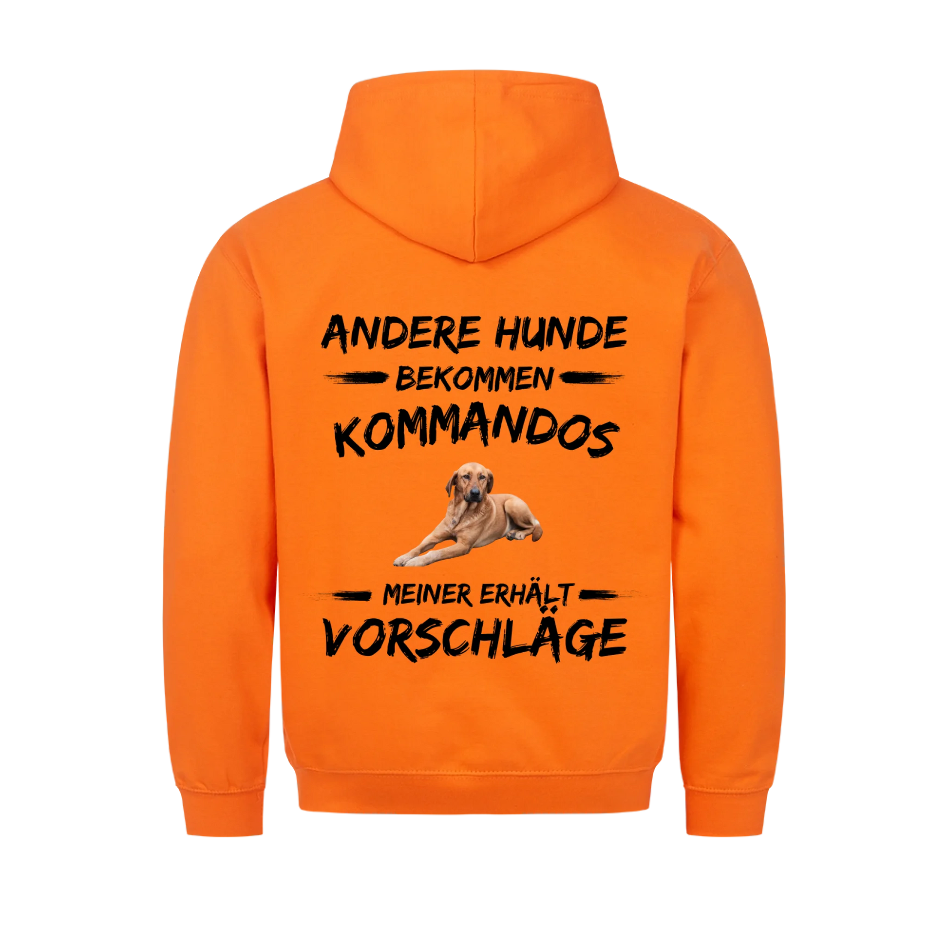 5e32f4ef92e32b08f71bbfbd_back_ff652a_61029681d9b3a_v2