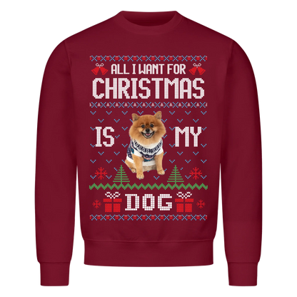 5e32f7b992e32b08f71bbfbe_front_78182c_61013afdc38e7_v3