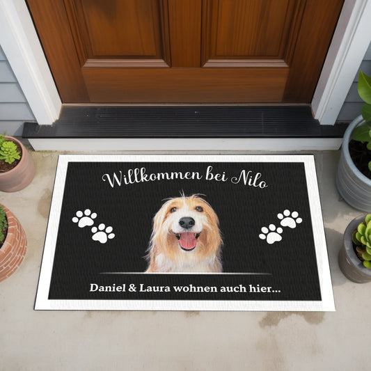 Design ohne Titel (20)